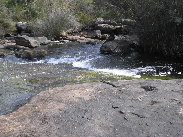 Collie river